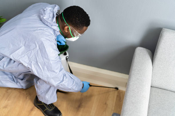 Best Pest Prevention Services  in Crouch Mesa, NM